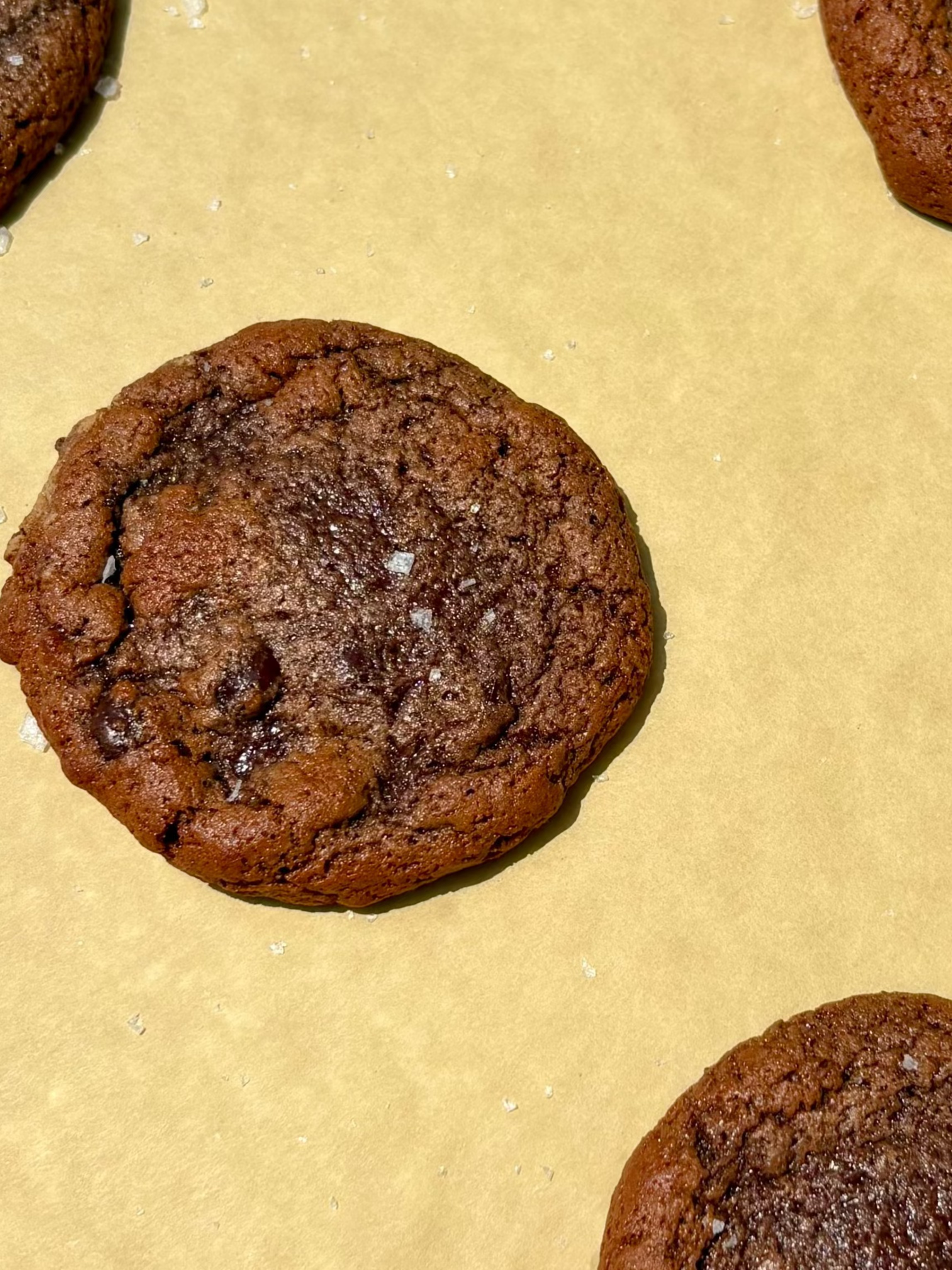 YUMKIES PROTEIN COOKIE