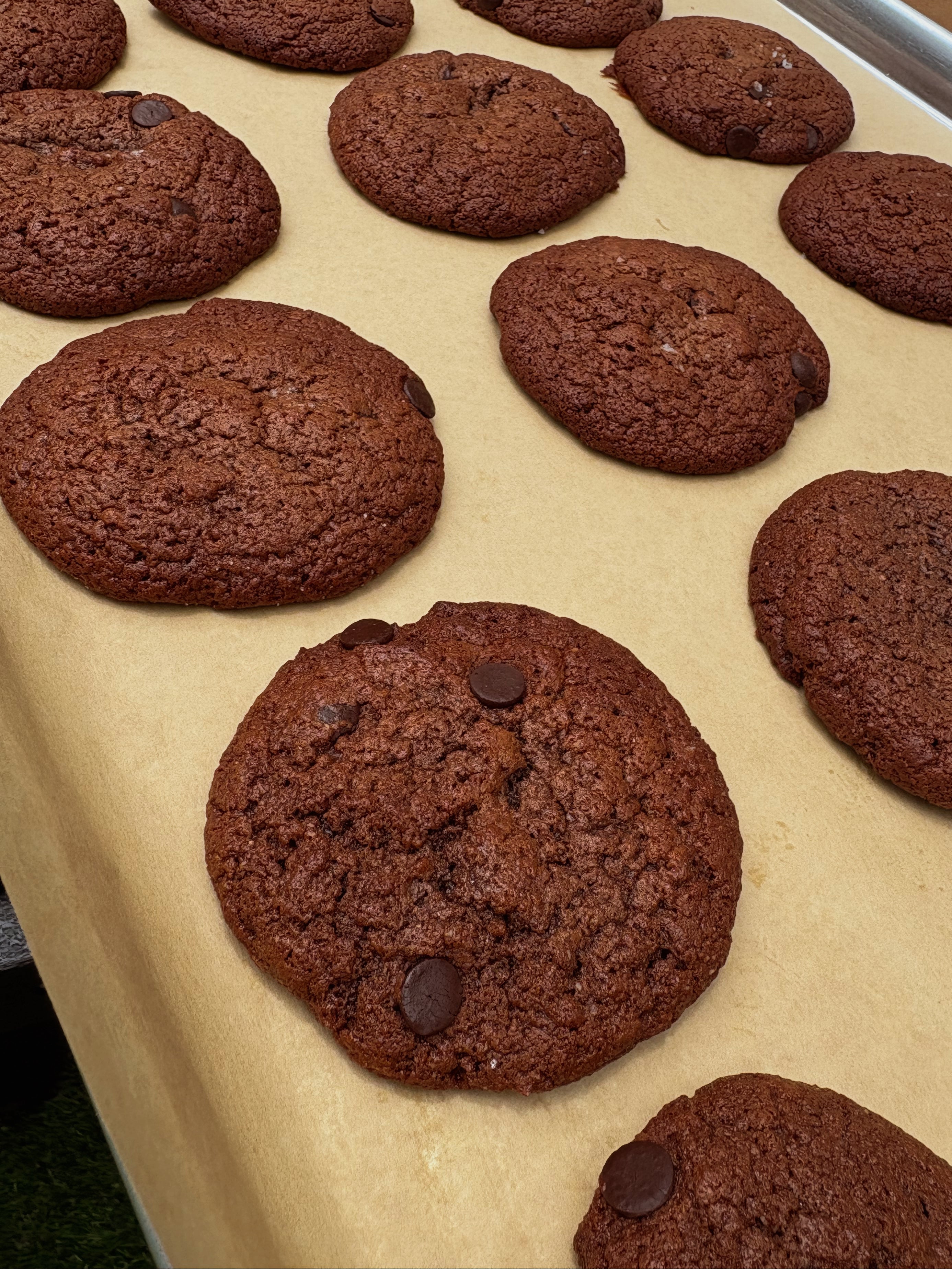 PROTEIN COOKIE